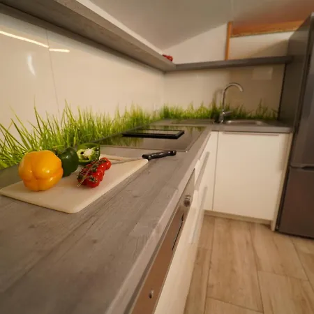 Ferienwohnungen Hinterholzer Apartment Sankt Jakob in Haus