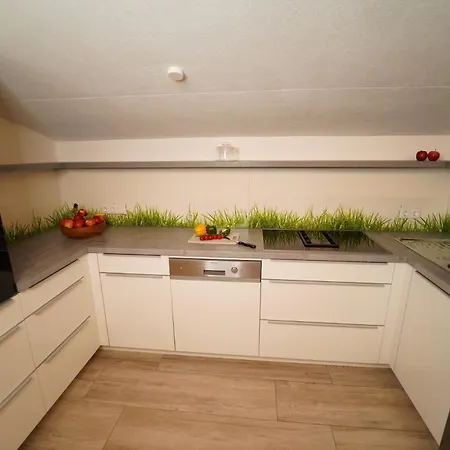 Hinterholzer Daire *