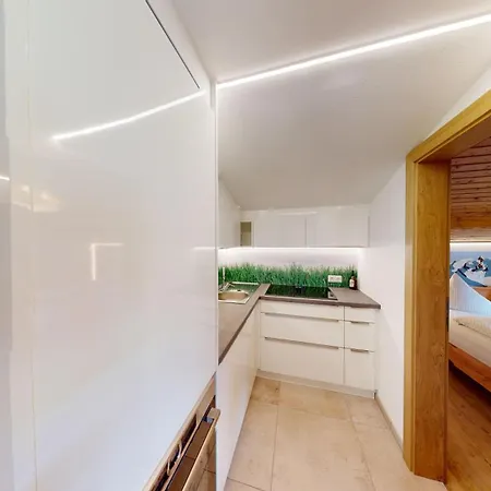 Daire Hinterholzer *