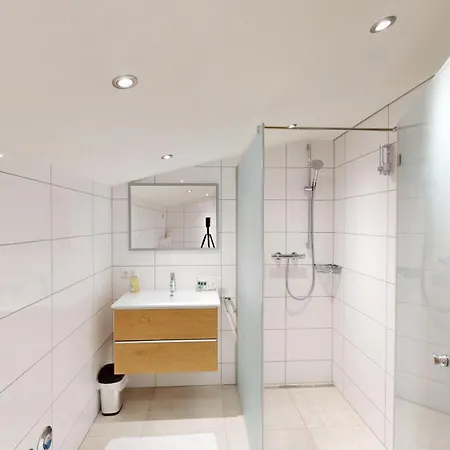 Apartment Ferienwohnungen Hinterholzer Sankt Jakob in Haus
