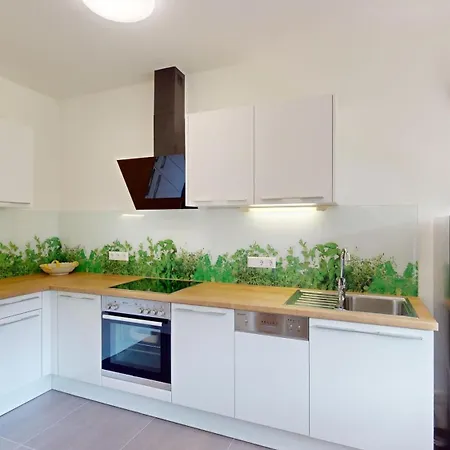 فيرينفوهنونغن هينترهولزر شقة سانكت ياكوب في هاوس