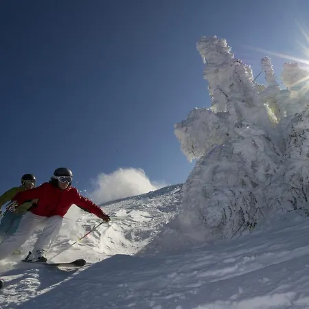 Hinterholzer Daire Sankt Jakob in Haus