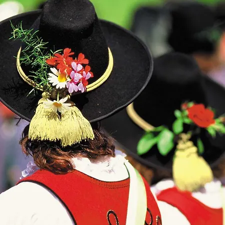 Ferienwohnungen Hinterholzer * Sankt Jakob in Haus