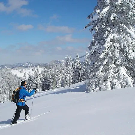 Hinterholzer Sankt Jakob in Haus