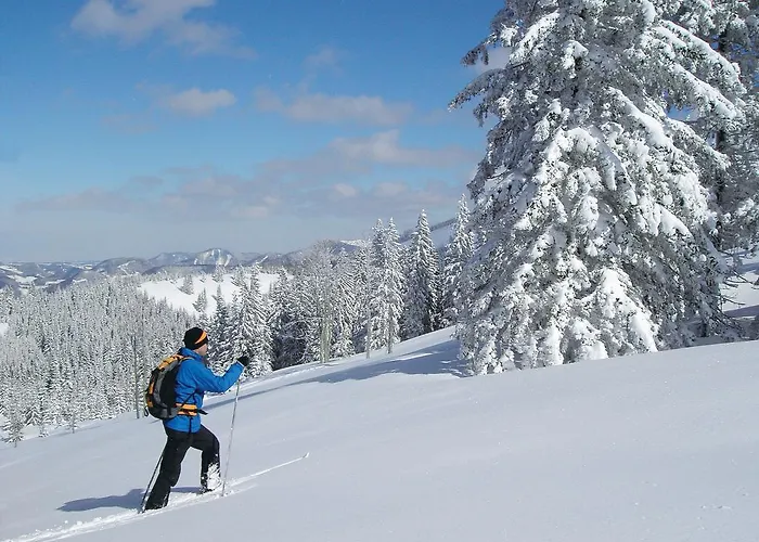 فيرينفوهنونغن هينترهولزر سانكت ياكوب في هاوس
