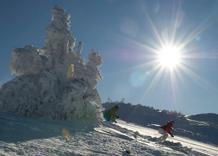 شقة فيرينفوهنونغن هينترهولزر *