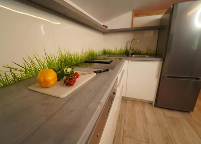 Hinterholzer 公寓 圣雅克布茵豪斯